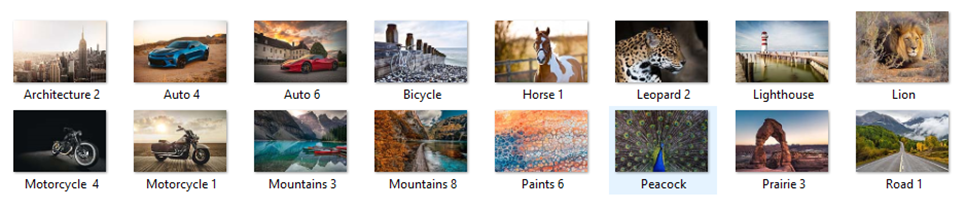 Специальная коллекция сюжетных принтов